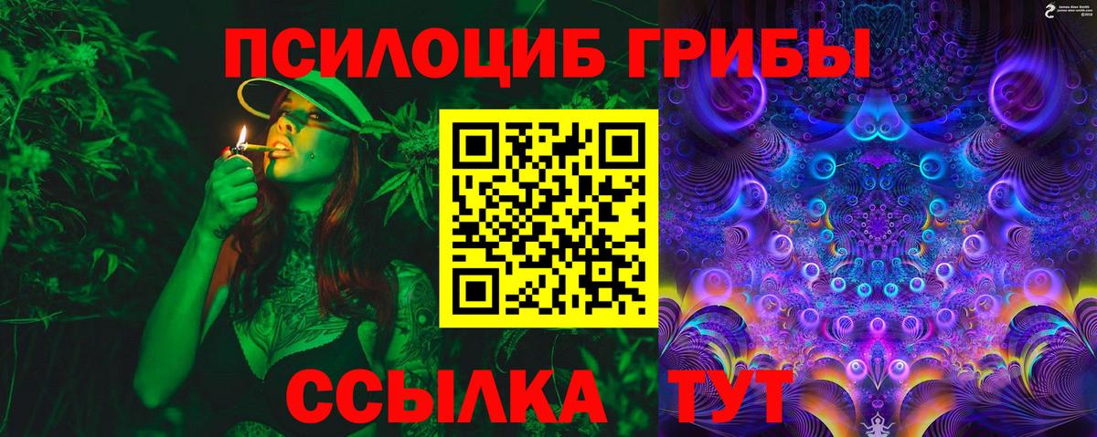 Галлюциногенные грибы MAGIC MUSHROOMS  Вход с VPN  Канаш 